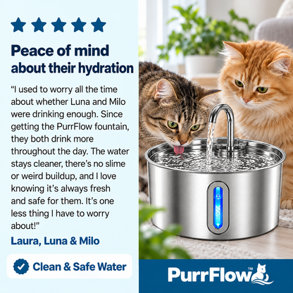 Doggy FreshFlow™ Healthy Hydration