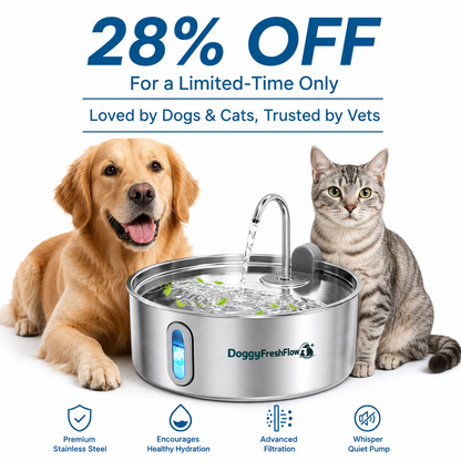 Doggy FreshFlow™ Healthy Hydration
