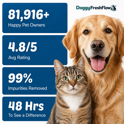 Doggy FreshFlow™ Healthy Hydration