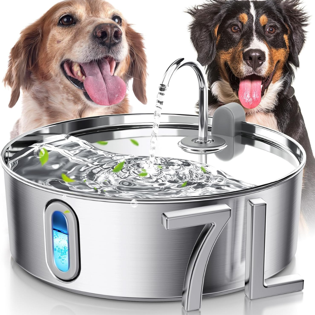 The Doggy Fountain™ Healthy Hydration